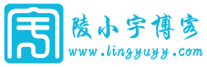 网络运营方案知识技巧-网络营销策划-陵小宇网络运营博客